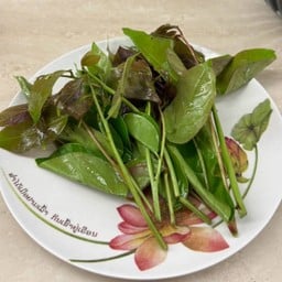 ผักใบมันปู