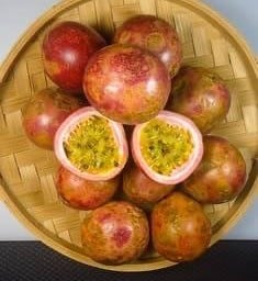 เสาวรส