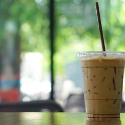 กาแฟสดหน้าวัด