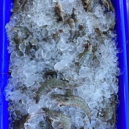กุ้งขาว เบอร์ S (50-55 ตัว)  1 Kg