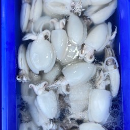 ปลาหมึกกระดองเจาะ 500g