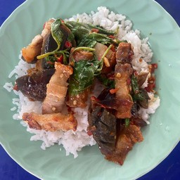 ข้าวกะเพราเต้าหู้หมูกรอบ