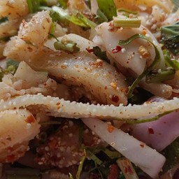 ไก่ย่างวิเชียรอาหารอีสาน ( ทับทิม )