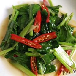 คะน้าน้ำมันหอย