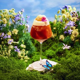 Citrusy Lychee Fizzy Cold Brew