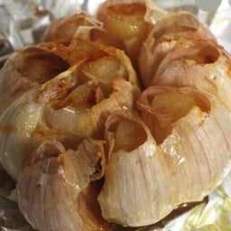 Garlic