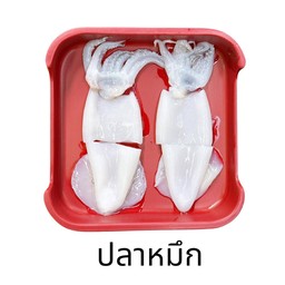 ปลาหมึก