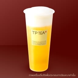 Four Seasons Oolong Tea ชาอู่หลงสี่ฤดู