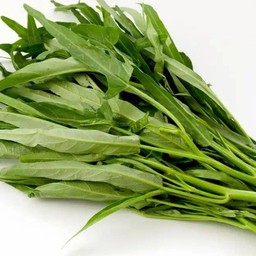 ผักบุ้ง