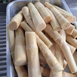 หน่อไม้สดต้ม