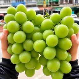 องุ่นไซมัสคัส ไซส์บิ๊ก ยกพวง (1 กก)