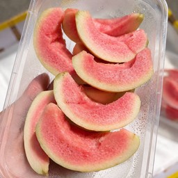 ฝรั่งหงส์เป่าสือ