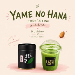 โฮชิโนะ ยาเมะ โน ฮานะ Yame No Hana