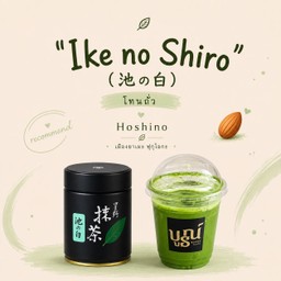 โฮชิโนะ อิเกะ Ike No Shiro