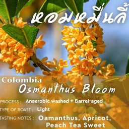 Colombia หอมหมื่นลี้ - light Roast