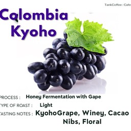 Colombia  Kyoho