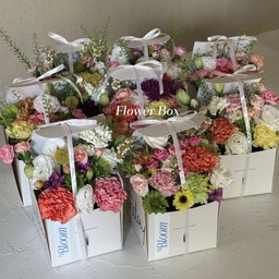 Bloom Flower Box