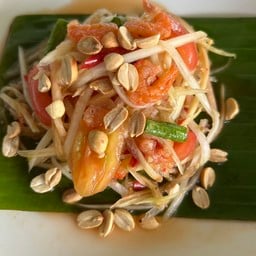 102 ตำไท