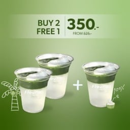 Coconut Yame Matcha 2 free 1