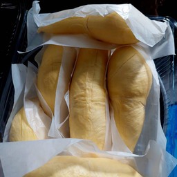 ทุเรียนหมอนทอง(DURIAN)