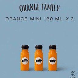 Fresh Orange Mini 120 Ml. X3 ( D )