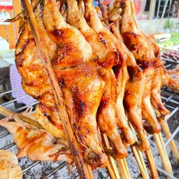 ครัวกกแดง