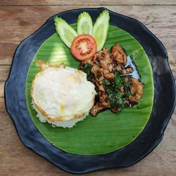 ข้าวราดกระเพราหมูชิ้น+ไข่ดาว