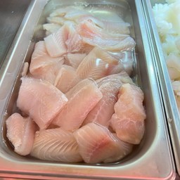 ปลาดอลลี่