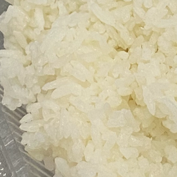 ข้าวเปล่า