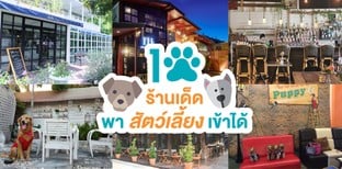 10 ร้านเด็ดพาสัตว์เลี้ยงเข้าได้
