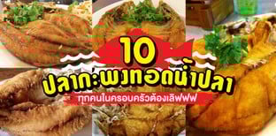10 ปลากะพงทอดน้ำปลา ที่ทุกคนในครอบครัวต้องเลิฟฟฟ