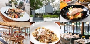 10 ร้านอาหารเรือนกระจก กินข้าวใต้สายฝน บรรยากาศดีไม่กลัวเปียก