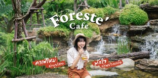 เช็กอินที่เที่ยวนนทบุรีแห่งใหม่ พักใจในคาเฟ่ป่าดิบชื้นย่านปากเกร็ด