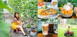 [รีวิว] Silver Valley คาเฟ่นครศรีธรรมราช กินผัก พักผ่อนไปกับธรรมชาติ