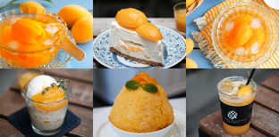 6 ร้านขนมพร้อมเสิร์ฟ “เมนูมะยงชิด” ของหวานสุดฮิตที่มีเพียงปีละครั้ง!