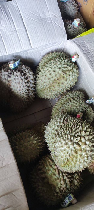 ราคาชั่งลูก 140/โล
เนื้อล้วน 550/โล