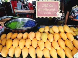 มะม่วงโลละ100