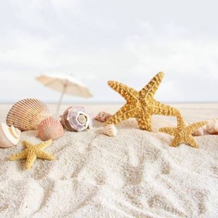 โปรโมชั่น พนักงาน ลด 50 % เมื่อสั่งเมนู Specialty  Thawirat, Cappuccino, Chocopeanut, ColdBrew Costa Rica Mozart, Mocha, Salted Caramel Mocha, Blueberry Soda, Add coffee 1 shot, Mocha Specialty Blend, Dirty Chill, Honey Lemon Coffee, Green Tea, แซนวิชไก่หยองโบราณ, Muffin chocolate, กาแฟ Cold brew, Donut Classic, Donut strawberry, Matcha Honey Yen, Hojicha, Americano, Chocolate Lava, Americano Specialty Blend, ปังช๊อคโกแลต, คุกกี้บราวนี่, Long shot orange., Latte Specialty Blend, Columbia Rose Valley S+, Milk Caramel, Drip Costarica Mozart, Cappuccino Specialty Blend, น้ำผึ้ง เพิ่มหวาน , Muffin yogurt, Scone มัจฉะ, Thai Tea, Caramel Macchiato, Lemon Tea, Black Cocoa Yen, Donut chocolate, น้ำผึ้ง หวานปกติ, มะนาว , Latte, Mini Donut Chocolate, ครัวซองค์เนยสด, Coffee chill คนละครึ่ง, ChocoStrawberry, Milk Strawberry, Honey Lemon Tea, Drip Kenya, Honey lemon soda, Cafe Creme Bulee, Kiwi soda, Orange Black Coffee, Espresso, คุกกี้ชาเขียวมัจฉะแครนเบอรี่, โซดา , มินิครัวซองค์, Matcha honey lemon, Chocomint, Milk Vanilla, Strawberry Soda, ทาร์ตไข่