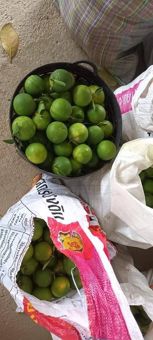 ของใกล้จะมาแล้วนะครับ สั่งได้นะครับ