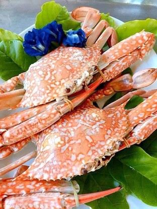 ปูม้านึ่ง