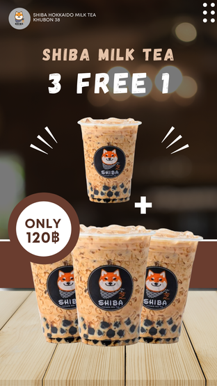 โปรโมชั่น ชิบะ3ฟรี1 ลด 40 บาท