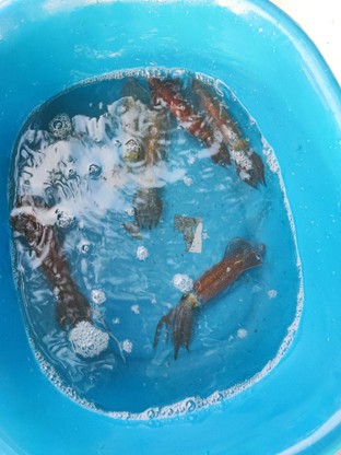 หมึกช๊อต 139ซื้อ6แถม1