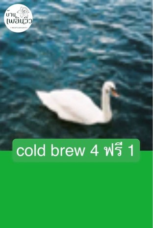 โปรโมชั่น cold brew 4 ฟรี 1 แถม ช้าง Cold Brew เมื่อสั่งเมนู  จำนวน 4 ที่