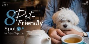 The Pawfect Guide: 8 Pet-Friendly Spots to Enjoy Together