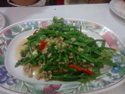 ยอดมะระผัด 