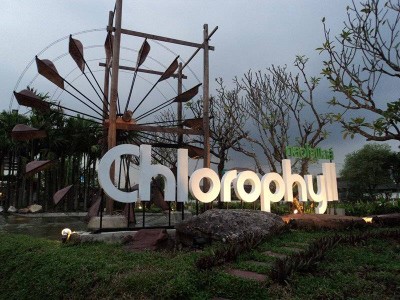 Chlorophyll (คลอโรฟิลล์) Chlorophyll (คลอโรฟิลล์)