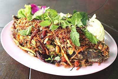 ปลาช่อนลุยสวน !!!!