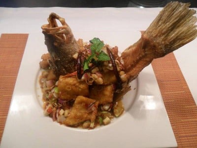 บ้านสวนองุ่น by Kob (BaanSuanAgoon RESTAURANT) บ้านสวนองุ่น by Kob (BaanSuanAgoon RESTAURANT)