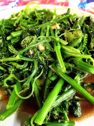 ผัดยอดเขาค้อ (ยอดมะระหวาน)