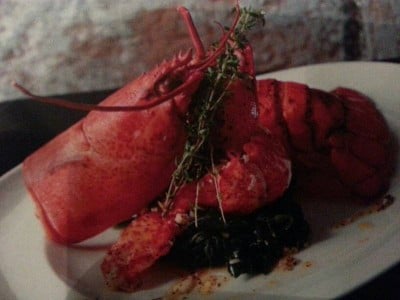   fresh lobster lobster lobster